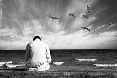 [2051851145_5de48cab54_m[1].jpg]